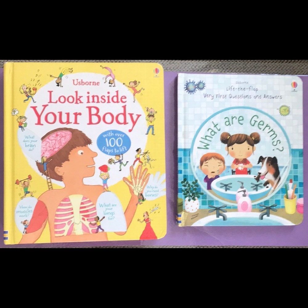 EUC Usborne Lift the Flap Board Books
